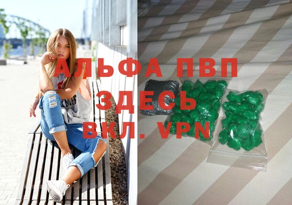 прущие грибы Баксан