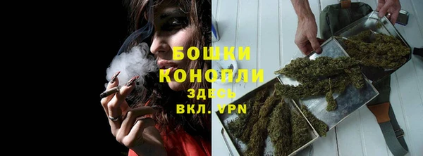 прущие грибы Баксан