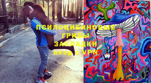 прущие грибы Баксан