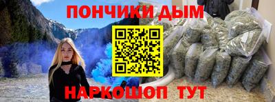 шишки Кингисепп