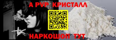 шишки Кингисепп