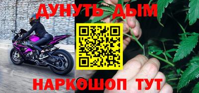 шишки Кингисепп