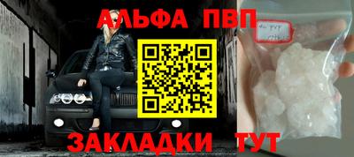 шишки Кингисепп