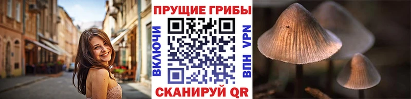 цена   Каспийск  Галлюциногенные грибы Magic Shrooms 