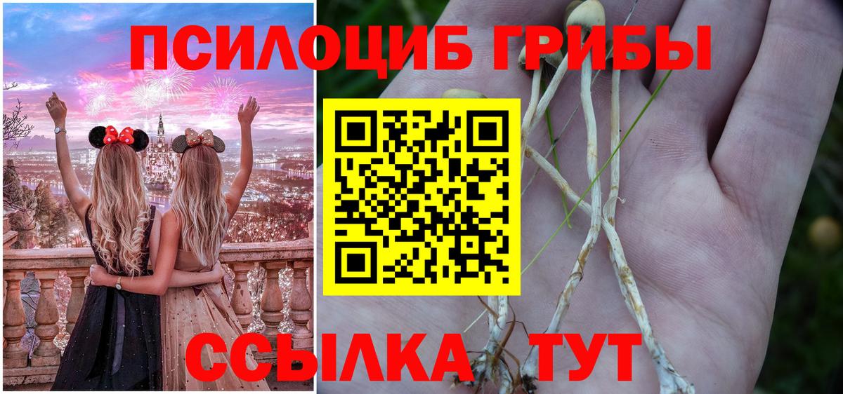 что такое   Псилоцибиновые грибы MAGIC MUSHROOMS  Вход с VPN  Каспийск 